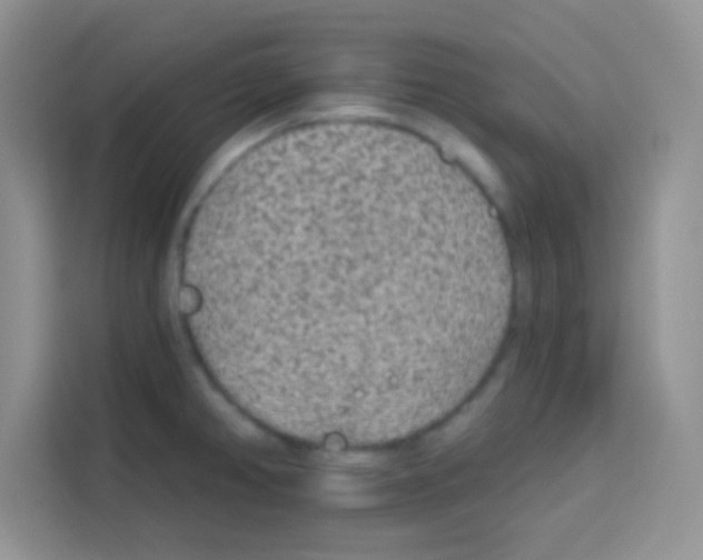 X0000113021382200910081151