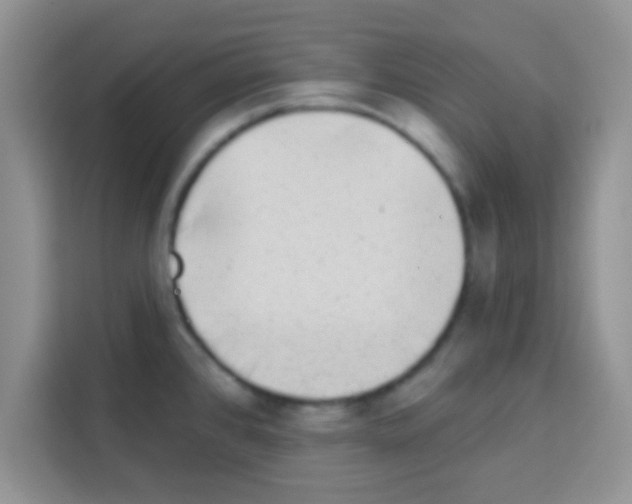 X0000113021384200910081151