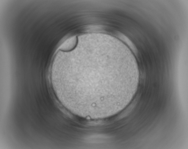 X0000113021386200910081151