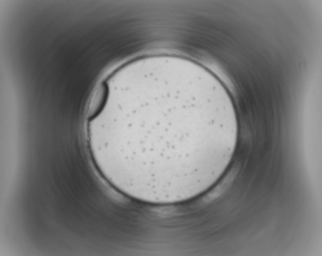 X0000113021388200910081151