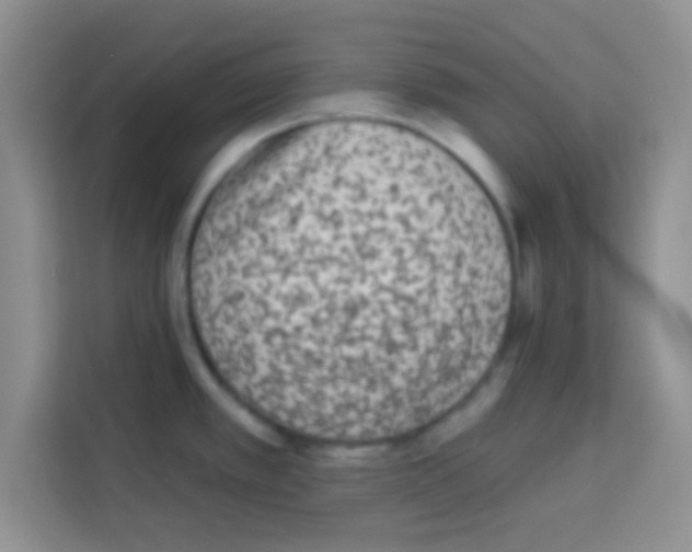 X0000113021389200910081151