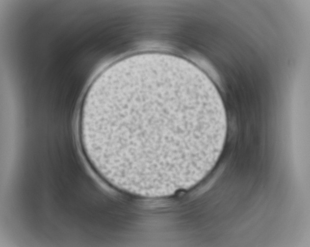 X0000113021391200910081151