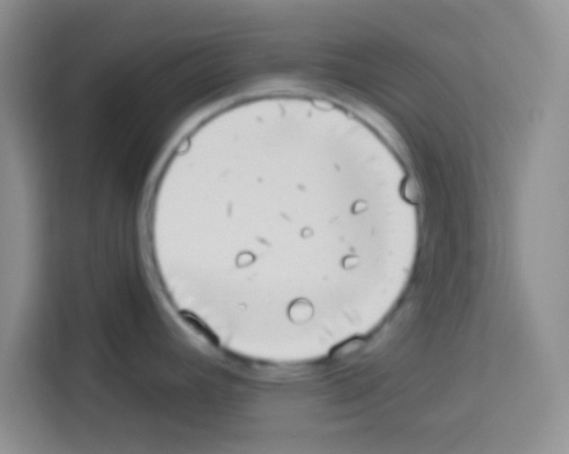 X0000113021392200910081151