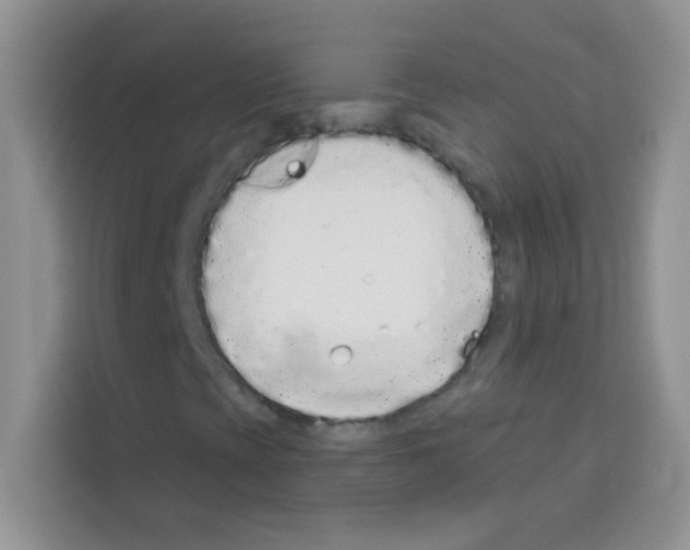 X0000113021393200910081150