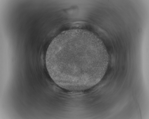 X0000113021394200910081150