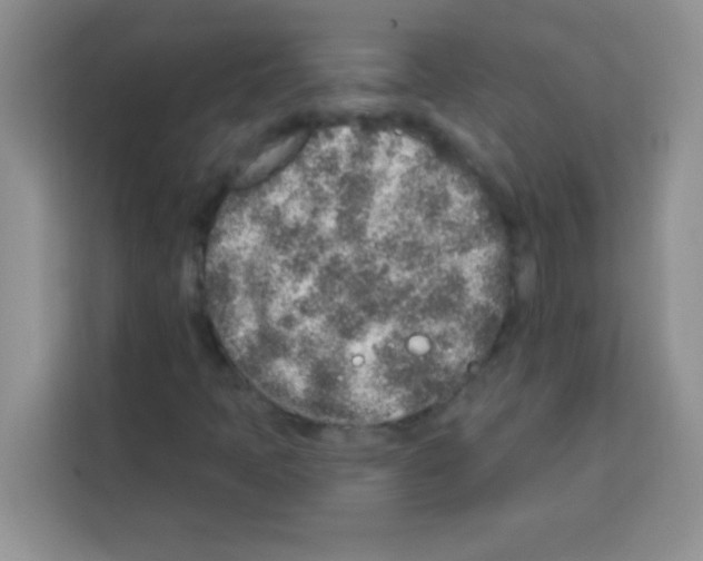 X0000113021397200910081150