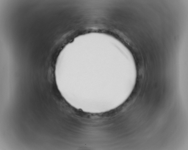 X0000113021398200910081150