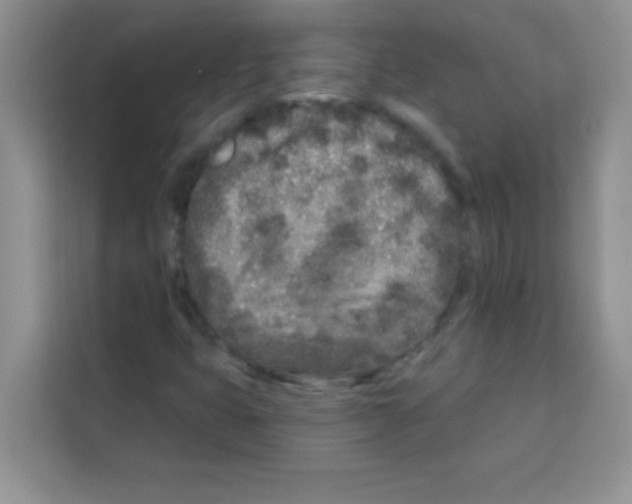 X0000113021399200910081150