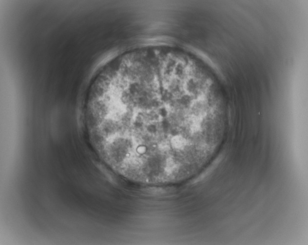 X0000113021405200910081150