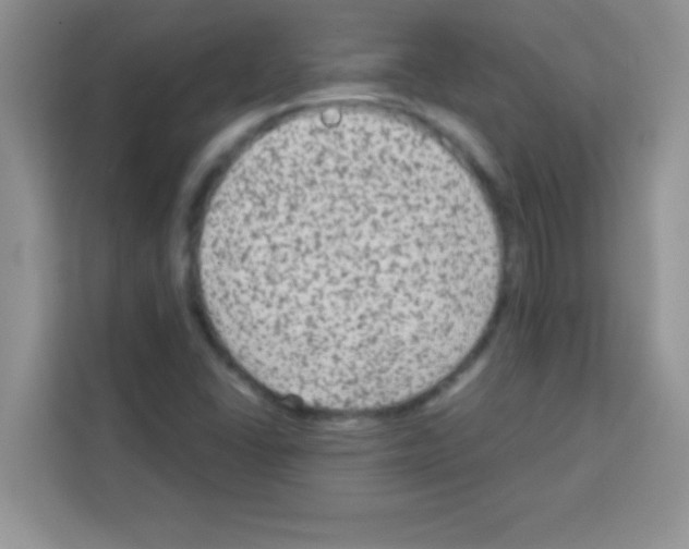 X0000113021406200910081150