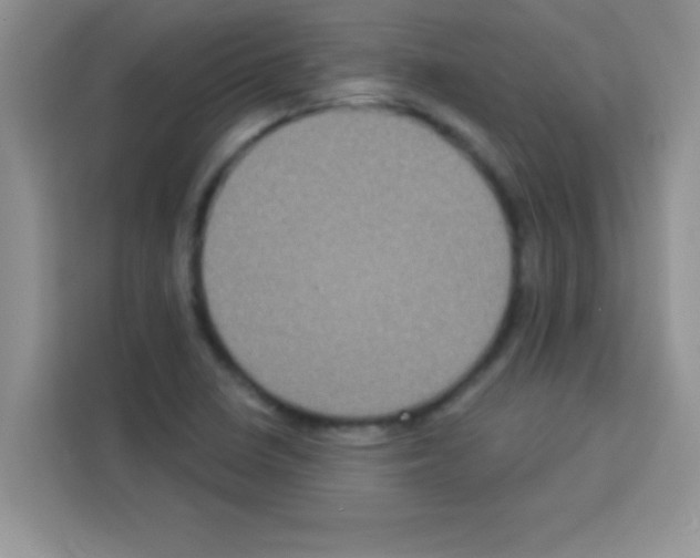 X0000113021410200910081150