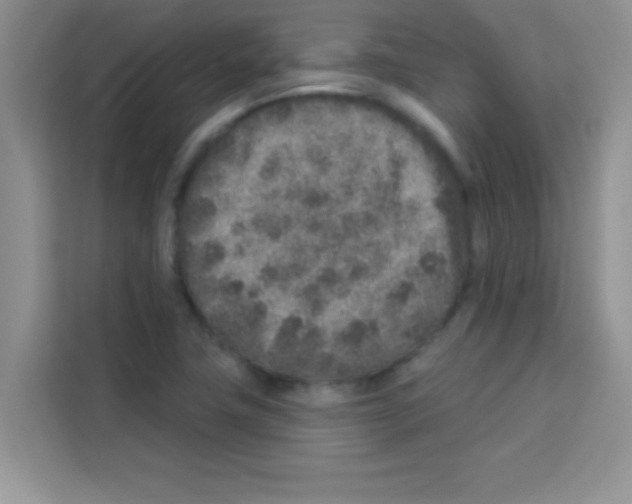 X0000113021411200910081150