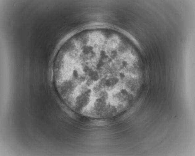 X0000113021413200910081150