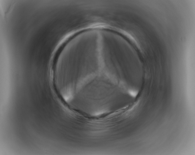 X0000113021414200910081150