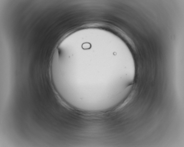 X0000113021417200910081151