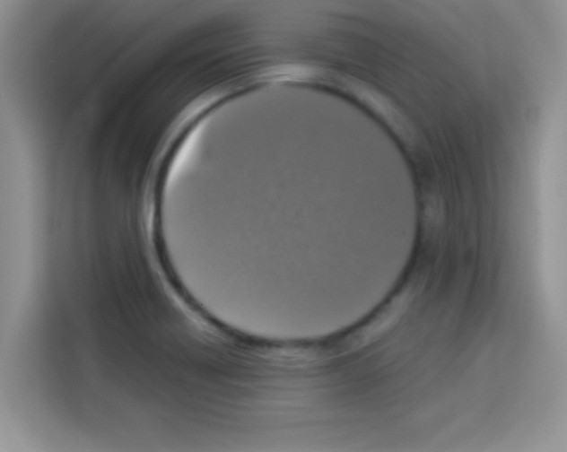 X0000113021418200910081151