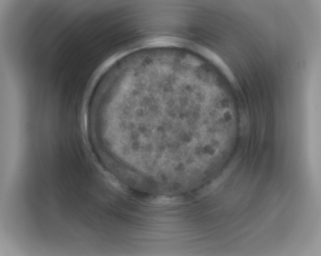 X0000113021419200910081151