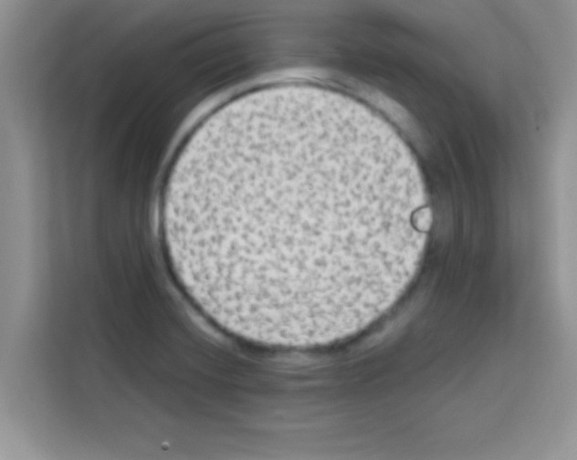 X0000113021420200910081151