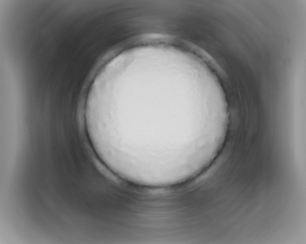 X0000113021421200910081151