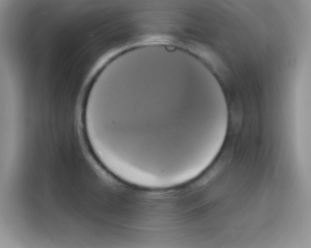 X0000113021422200910081151