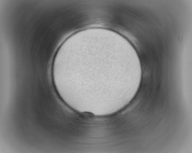 X0000113021423200910081151