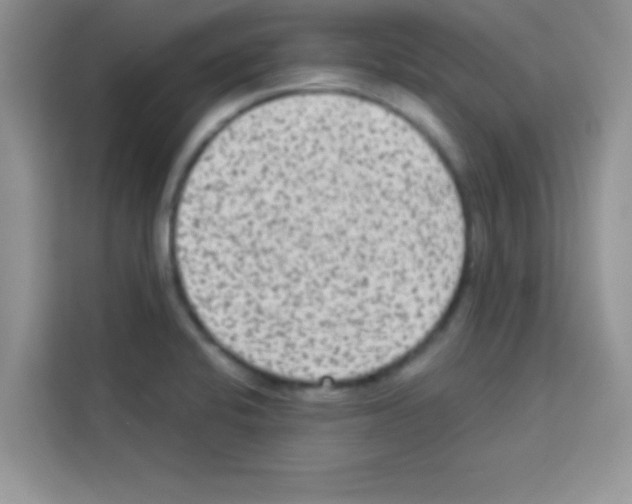 X0000113021424200910081151