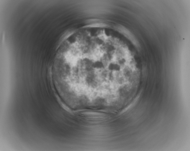 X0000113021425200910081151