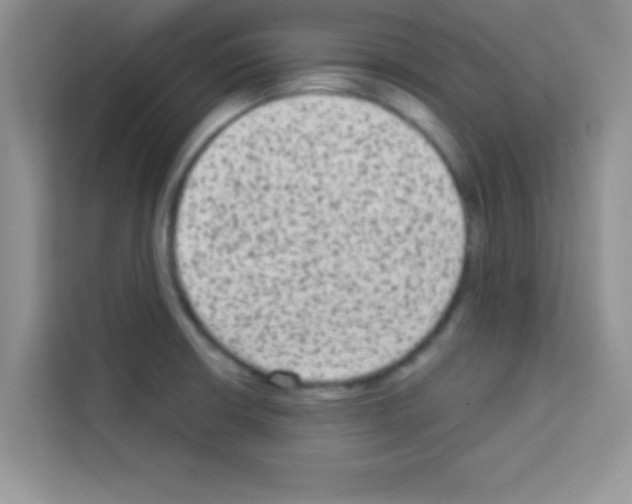 X0000113021426200910081151