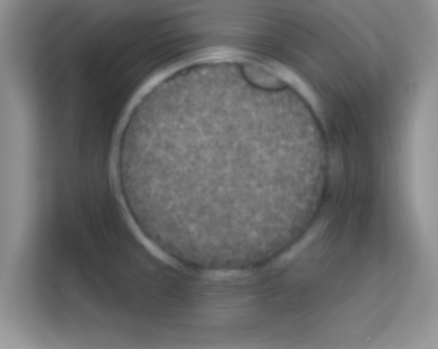 X0000113021429200910081151