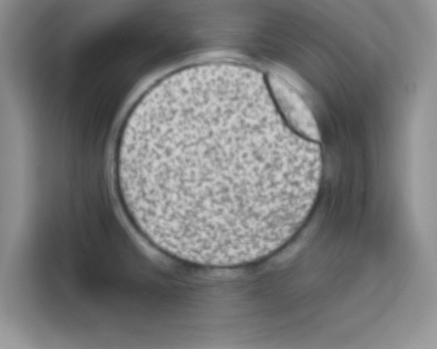 X0000113021430200910081151