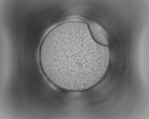 X0000113021431200910081151