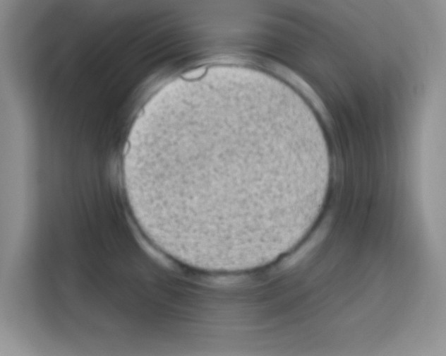 X0000113021433200910081151