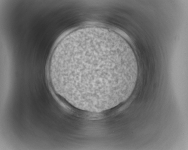 X0000113021440200910081151