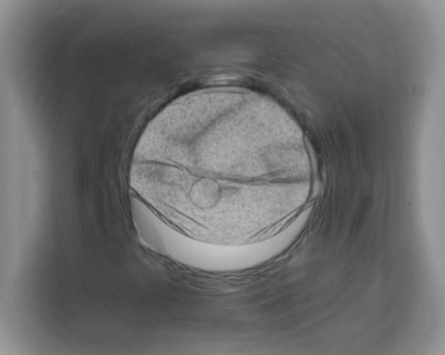 X0000113021441200910081150