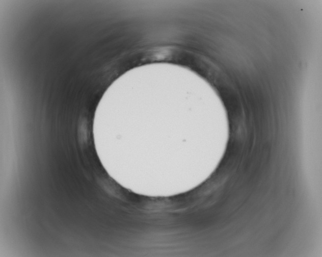 X0000113021442200910081150