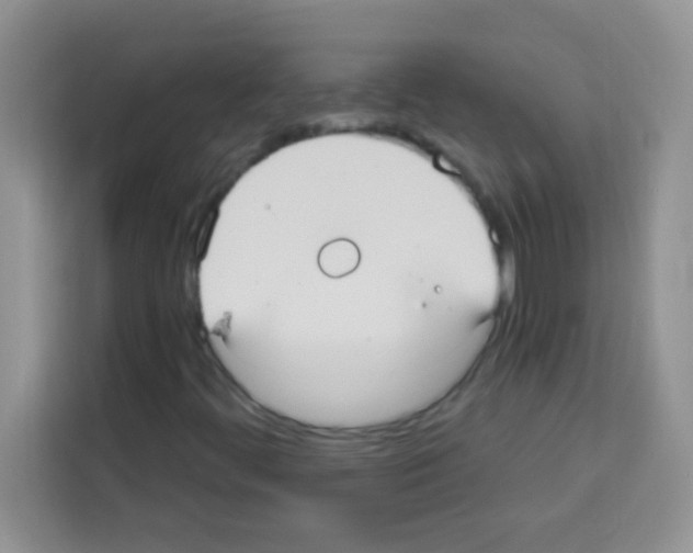 X0000113021444200910081150