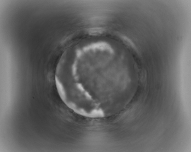 X0000113021445200910081150