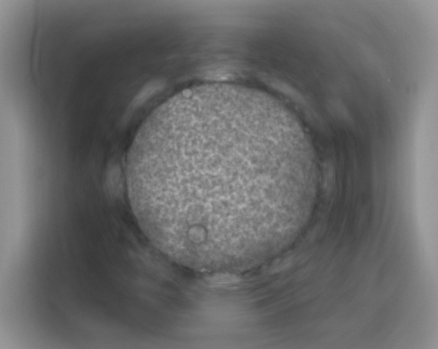 X0000113021446200910081150