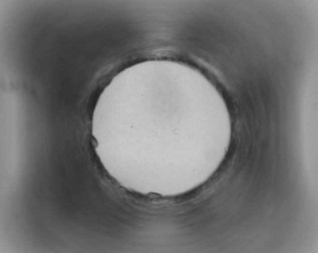 X0000113021447200910081150