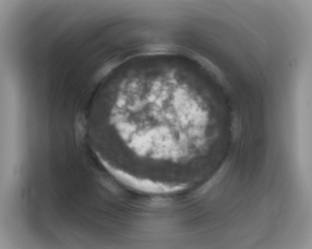 X0000113021449200910081150