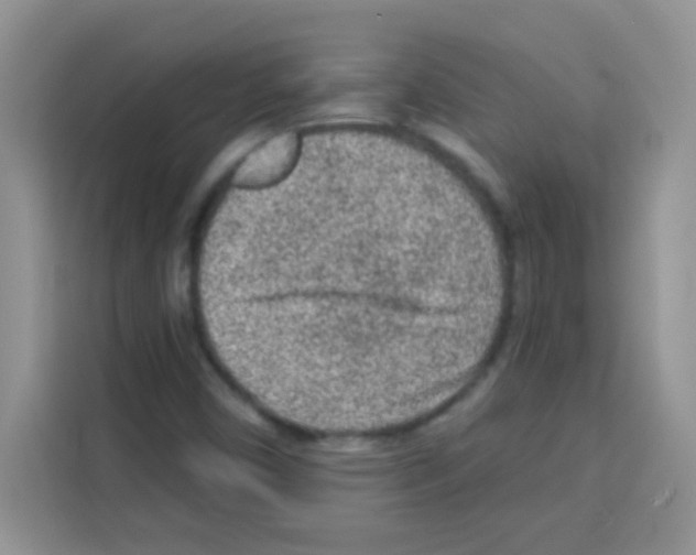 X0000113021450200910081150