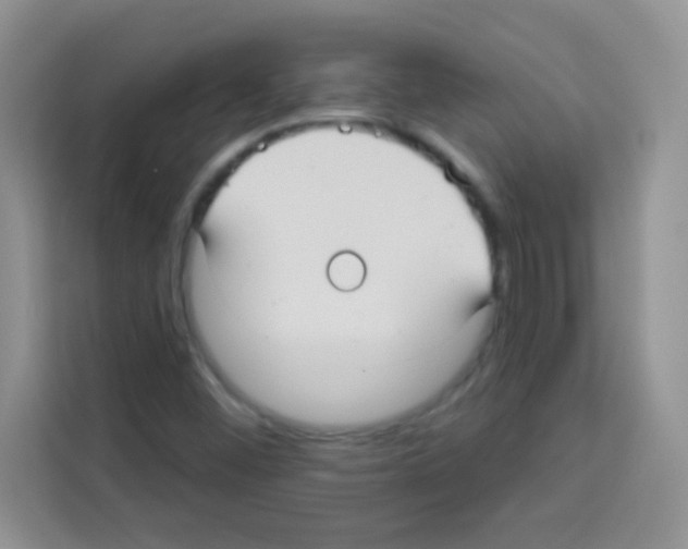 X0000113021452200910081150