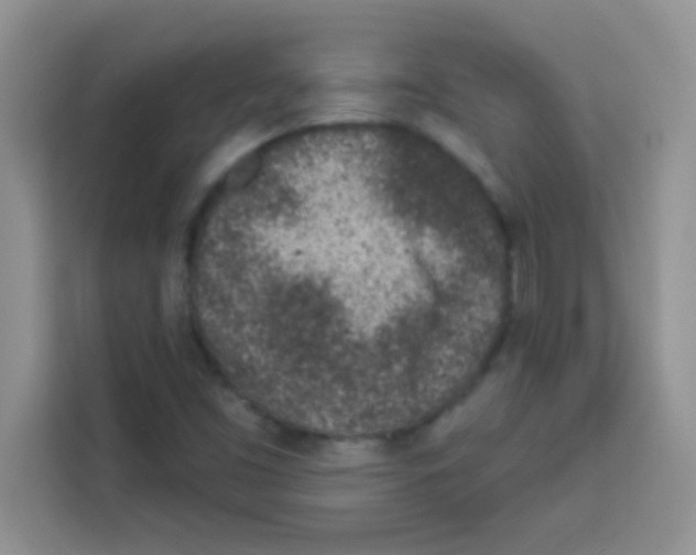 X0000113021453200910081150