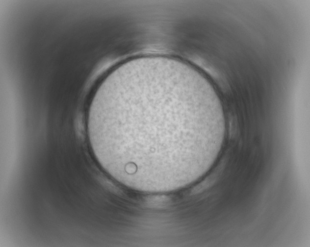 X0000113021454200910081150