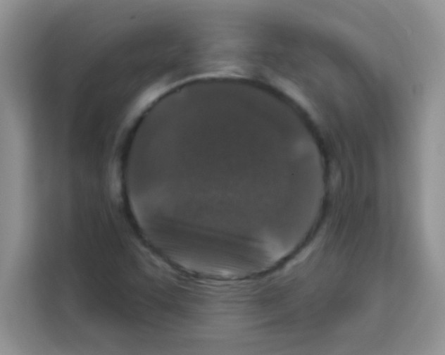 X0000113021455200910081150