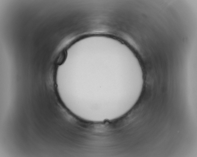 X0000113021456200910081150