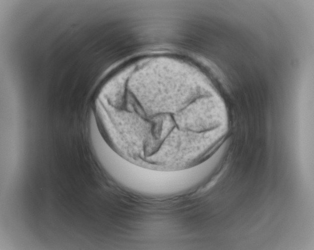 X0000113021457200910081150