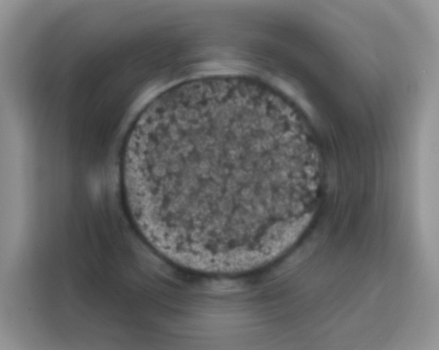 X0000113021459200910081150