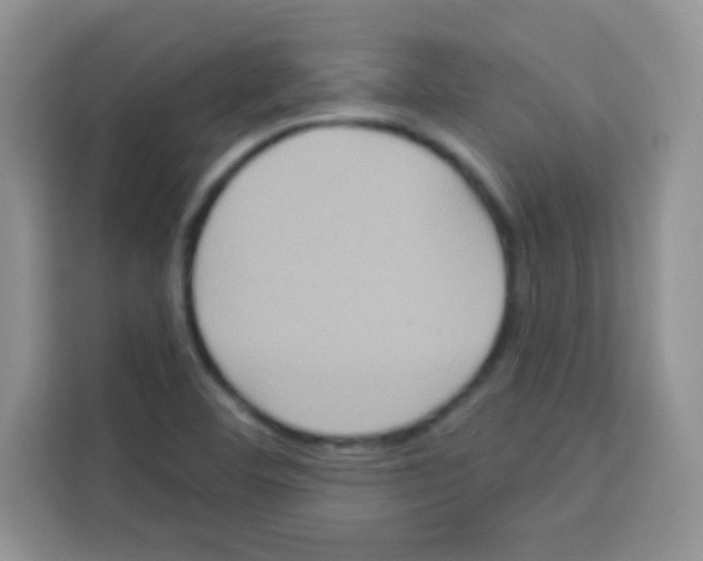 X0000113021460200910081150