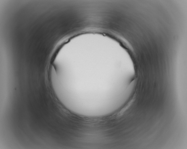 X0000113021461200910081150